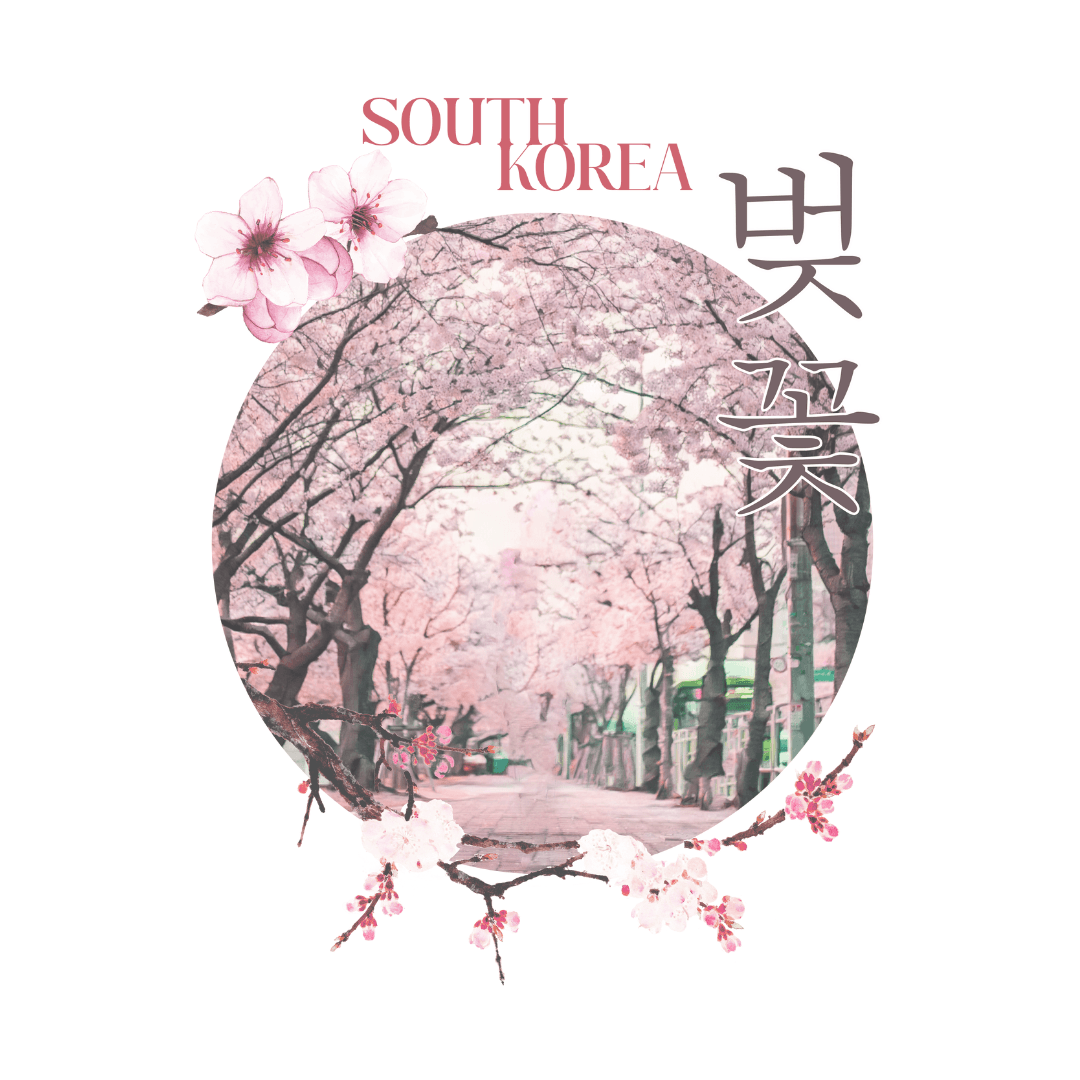 Cherry Blossom - Gomawo Korea